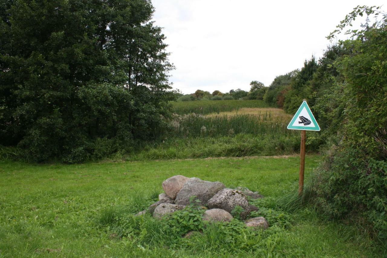 Landpension Zum Schweizerberg Neugrimnitz Экстерьер фото