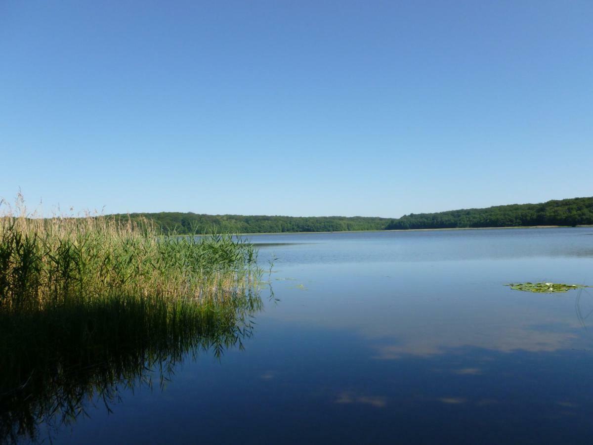 Landpension Zum Schweizerberg Neugrimnitz Экстерьер фото