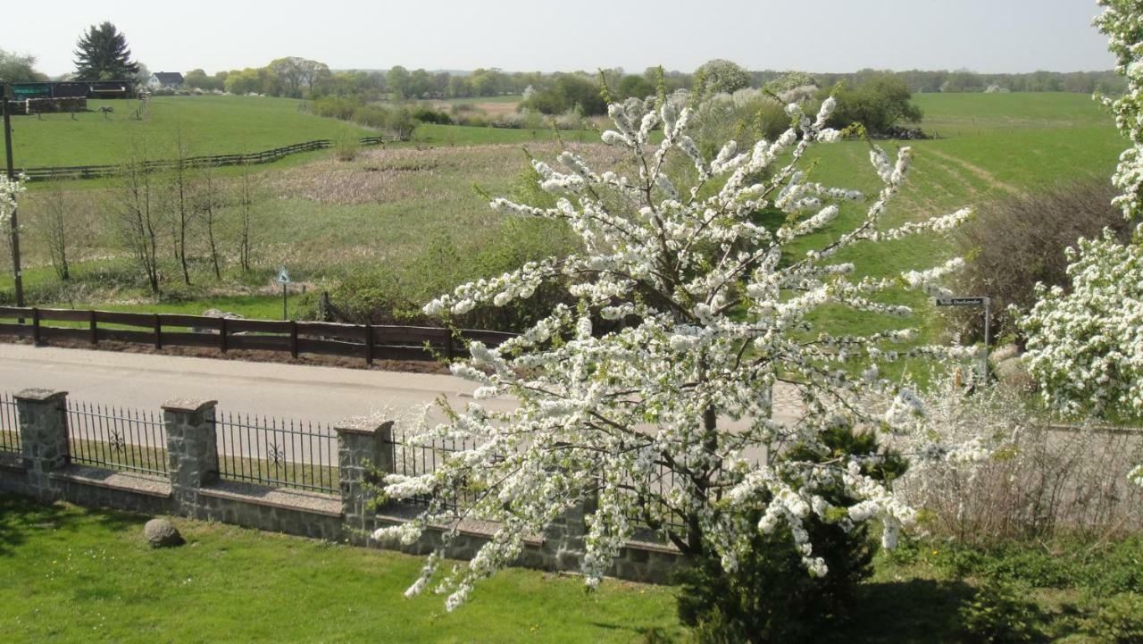 Landpension Zum Schweizerberg Neugrimnitz Экстерьер фото