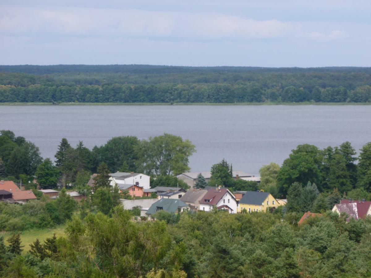 Landpension Zum Schweizerberg Neugrimnitz Экстерьер фото