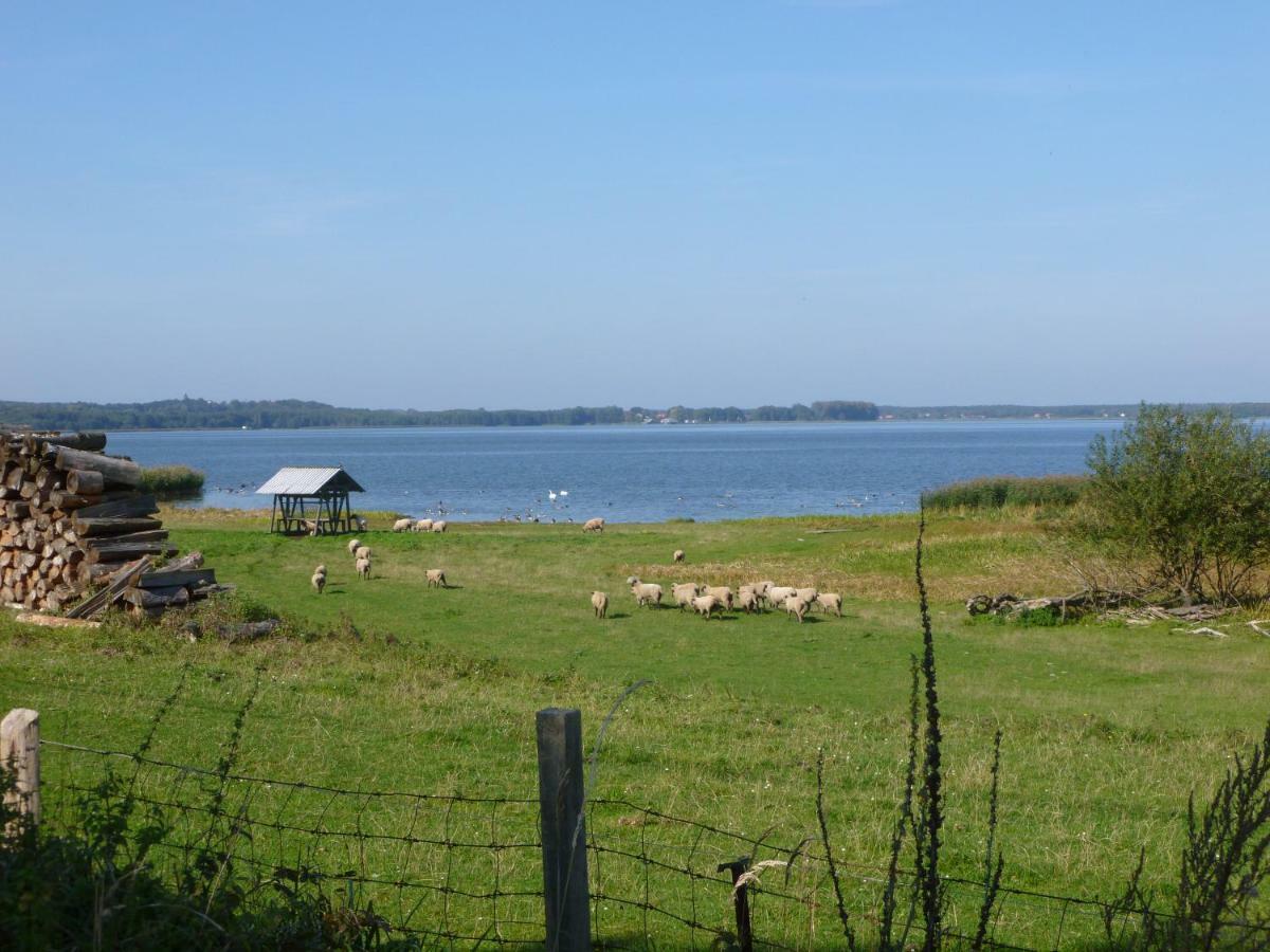 Landpension Zum Schweizerberg Neugrimnitz Экстерьер фото